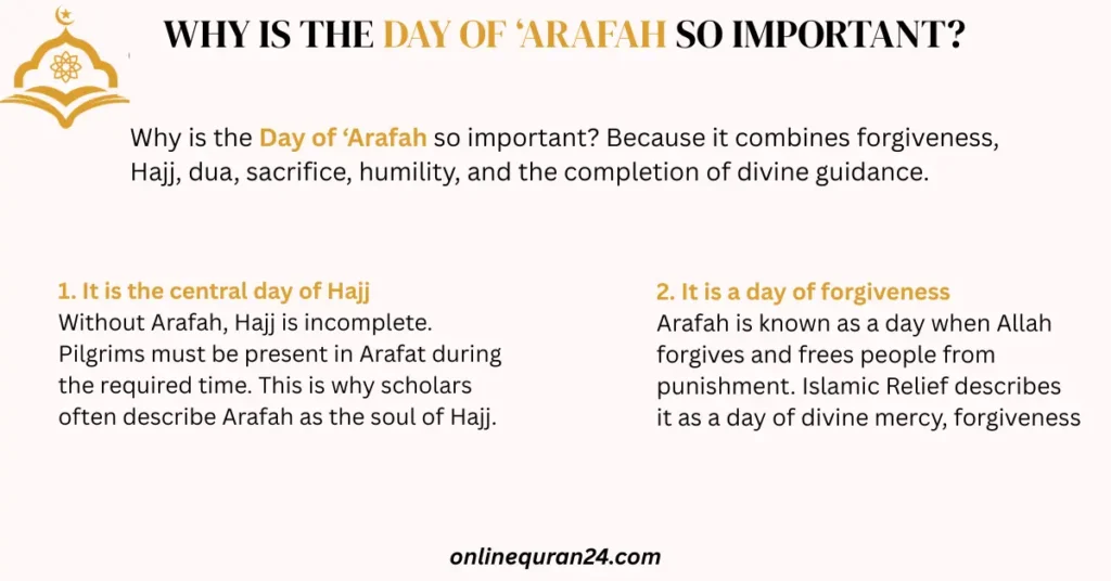 Why is the Day of ‘Arafah so important: pilgrims praying and performing Hajj rituals